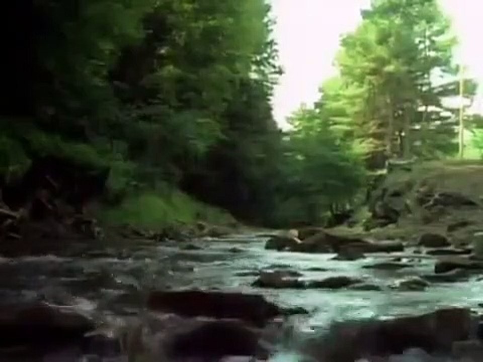 Tales From the Darkside - Se2 - Ep02 - Lifebomb HD Watch