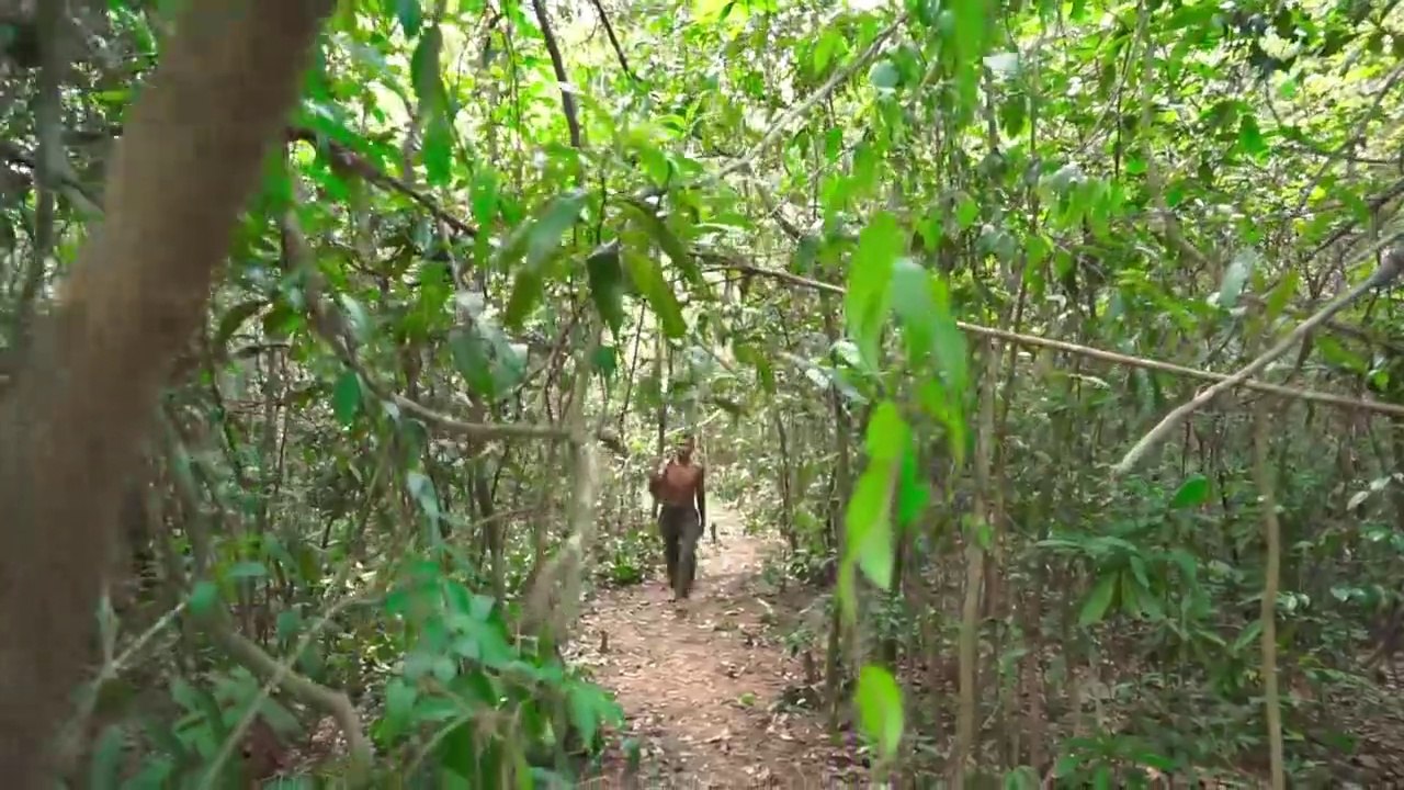 Build Modern Luxury Underground House with Private Underground Living Room and King Room