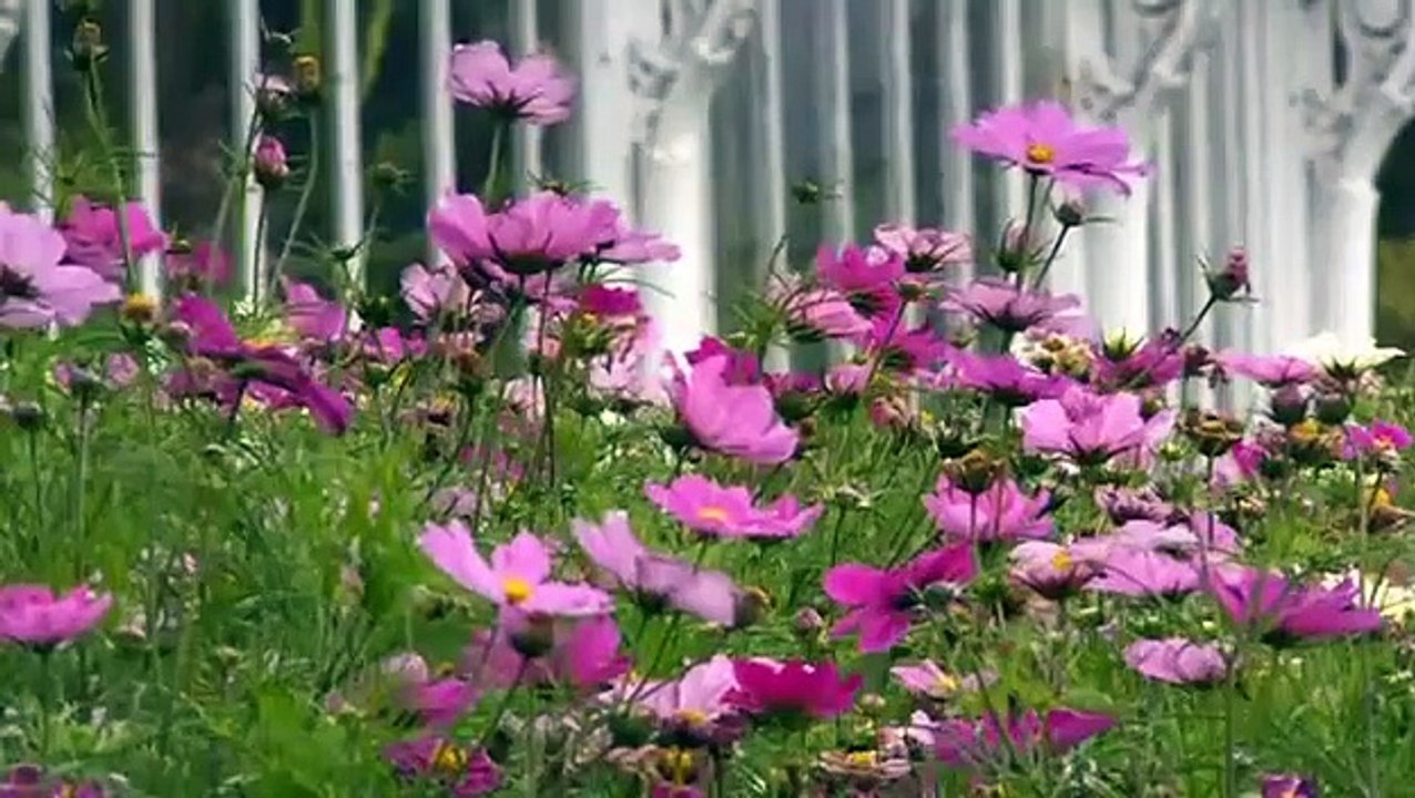 Great British Railway Journeys - Se3 - Ep24 HD Watch