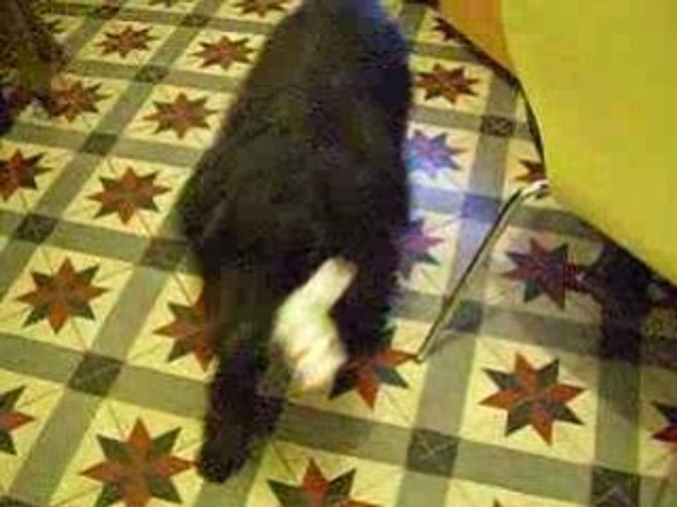 Nala la délicate