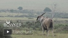 Eland hunting South Africa with Nick Bowker Hunting