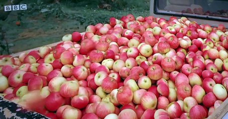 Twirlywoos Twirlywoos S04 E001