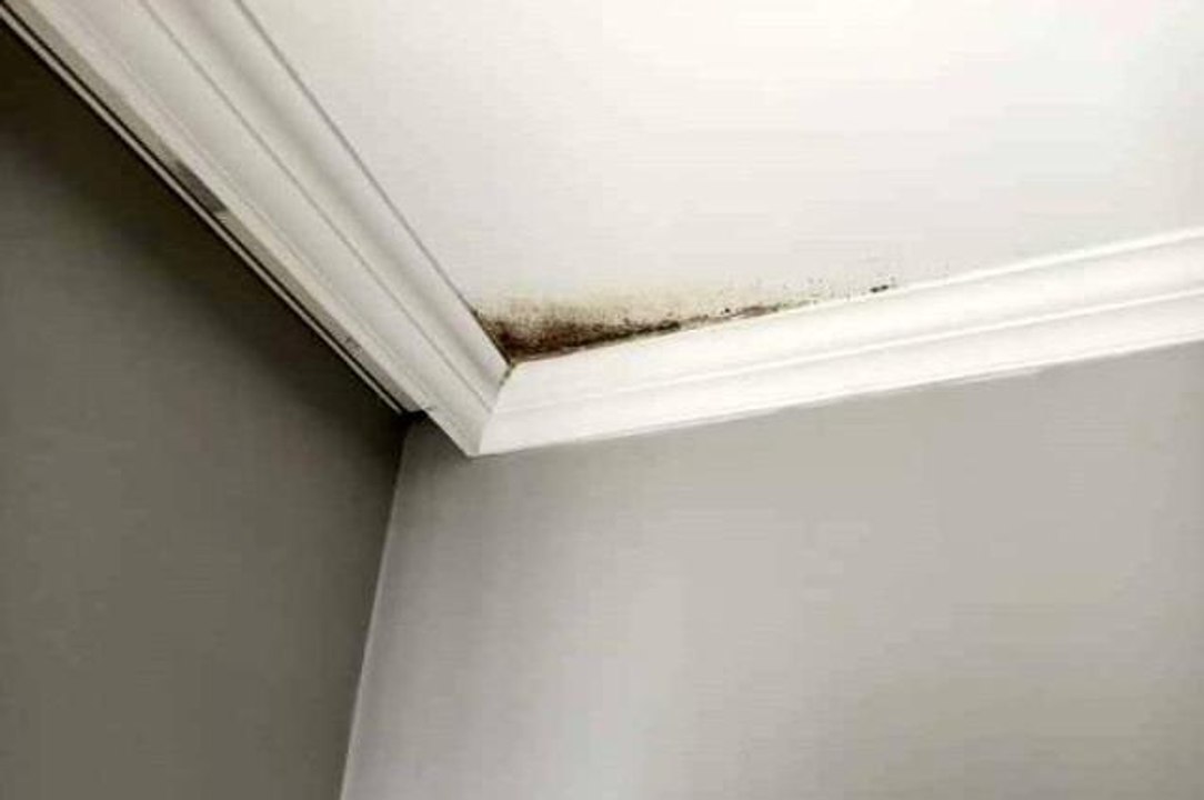 500 TL'lik site aidatı bin 415 TL'ye çıktı, site sakinleri fahiş zamma isyan etti