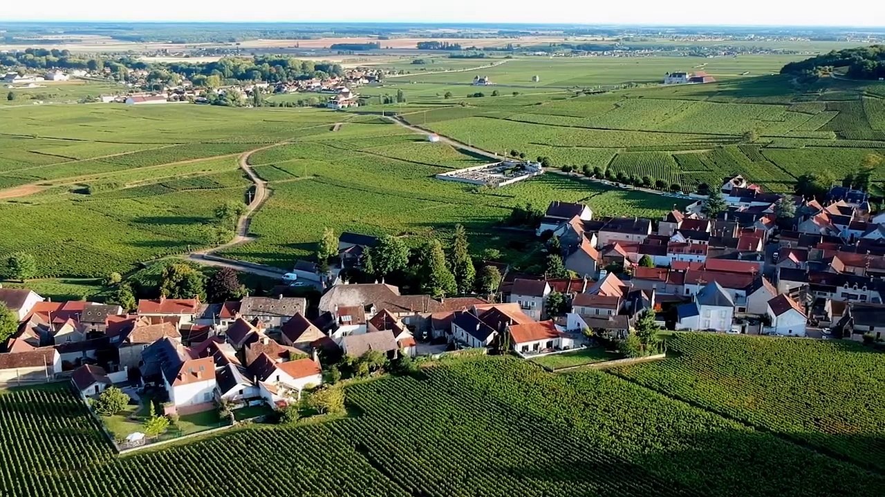 Elles sont tombées dans un piège sinistre... (4 vraies histoires d'horreur)