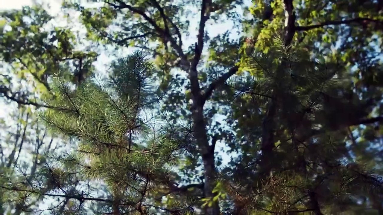 Into the Unknown - Se1 - Ep06 - The Jersey Devil HD Watch