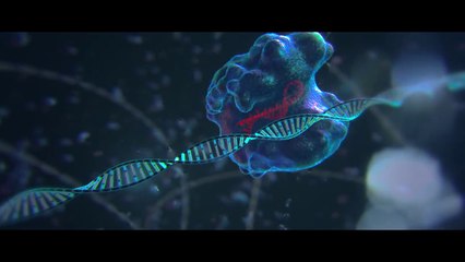 Doğal Olmayan Seçilim (1. Bölüm)