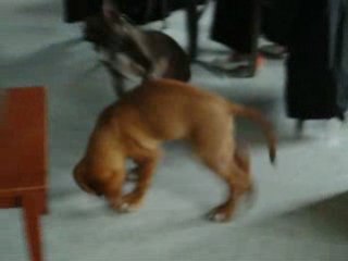 Kenza et bones film1