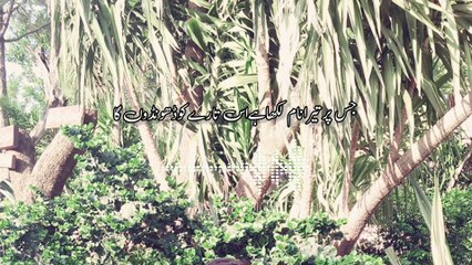 Apny Ghar Ki Khirki Sy Main Aasmaan Ko Dekhun Ga | अपने घर की खिड़की से मैं आसमान को देखूं गा | Naqvi Voice