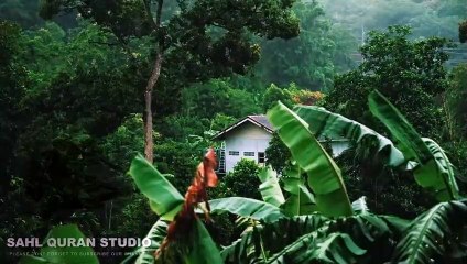 Peaceful Quran Recitation for Relaxation & Sleep 🌙