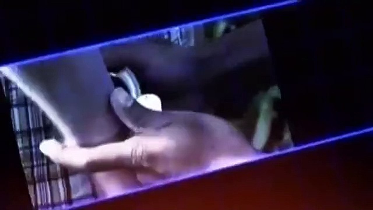 I (Almost) Got Away with It - Se3 - Ep12 HD Watch