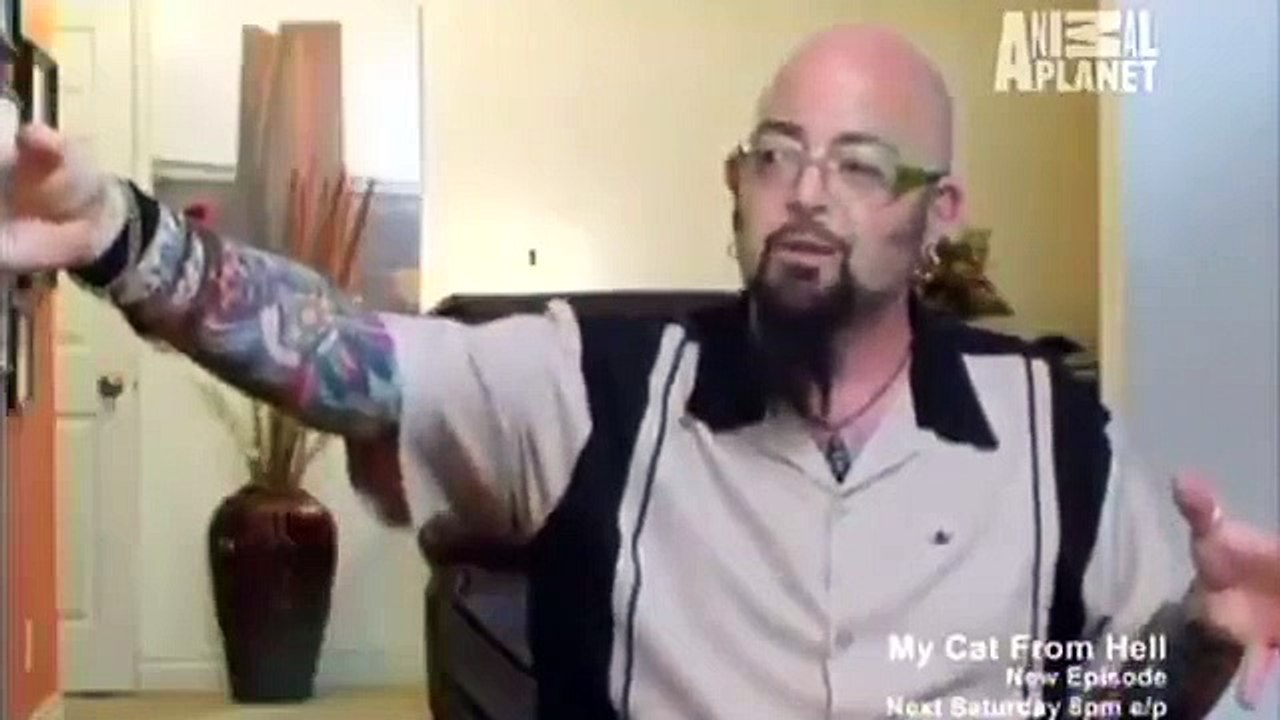 My Cat from Hell - Se4 - Ep04 - Feral Scottish Fold HD Watch