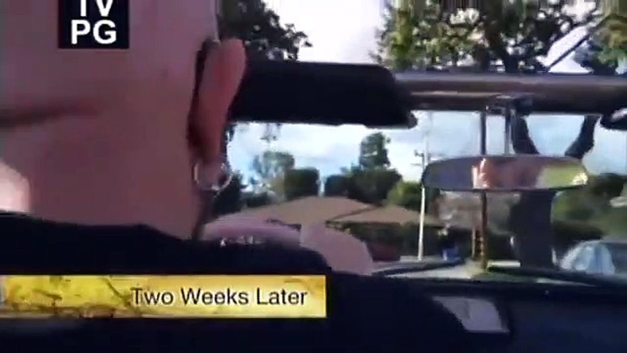 My Cat from Hell - Se4 - Ep05 - Macho Cat HD Watch