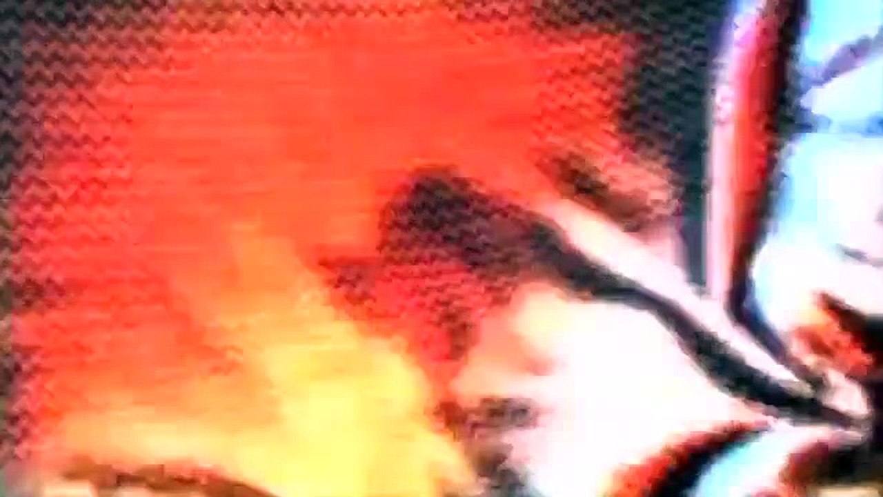 My Cat from Hell - Se4 - Ep06 - Graveyard of Peed on Things HD Watch