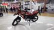 Auto Expo 2023: Honda XRE 300 Rally Flex Fuel | Manu Kurian