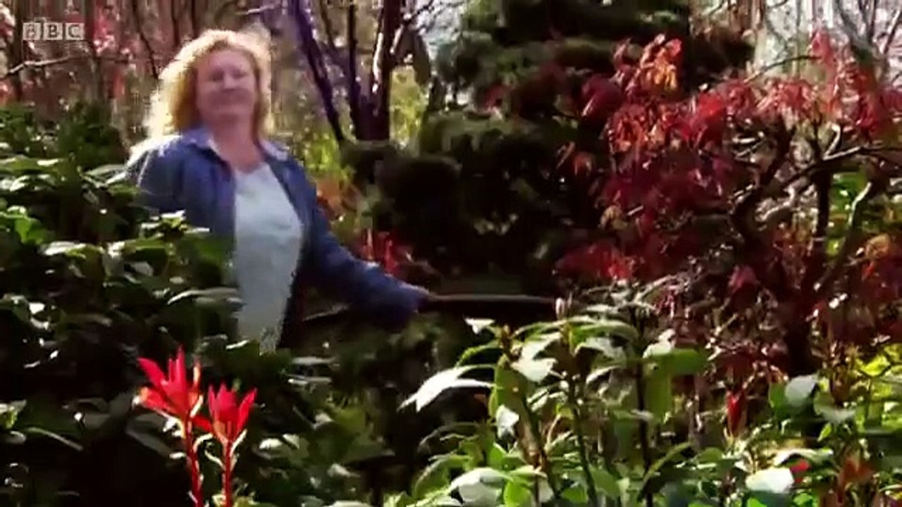 Garden Rescue - Se4 - Ep16 - St. Ives HD Watch