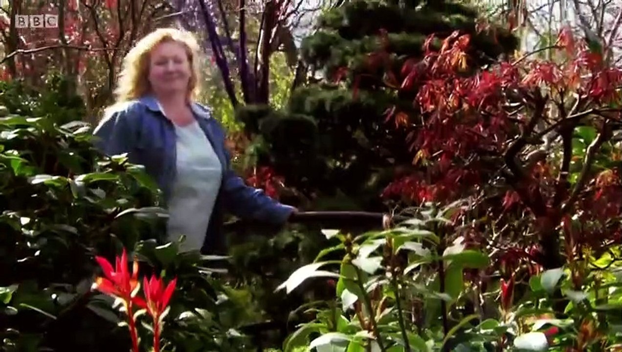Garden Rescue - Se4 - Ep19 - Newport Cwmcarn HD Watch