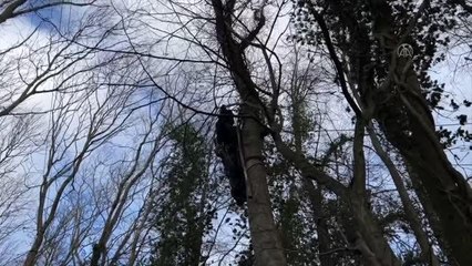 LÜTZERATH - Almanya'da "linyit köyü" çevresinde yaklaşık 35 bin çevreci eylem yaptı