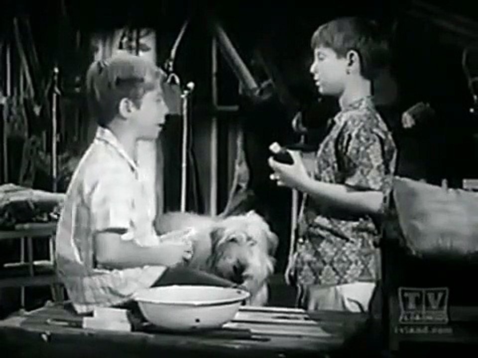 My Three Sons - Se3 - Ep03 HD Watch