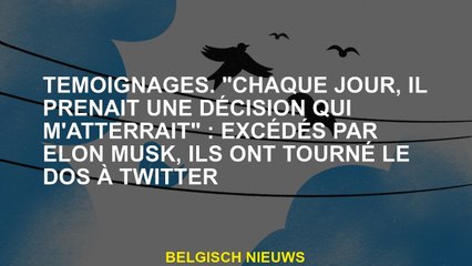 Témoignages. "Chaque jour, il a pris une décision qui me prendrait": Exaspéré par Elon Musk, ils ont