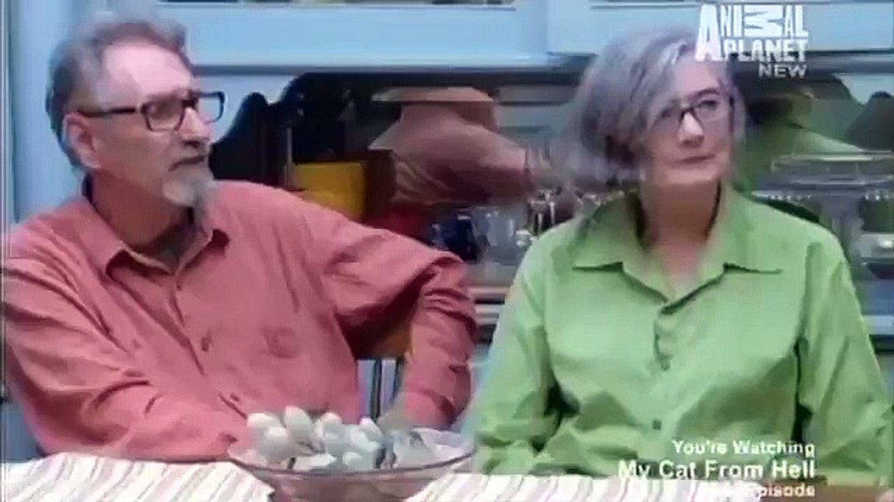 My cat from hell - se4 - ep03 - penny hates puck hd watch