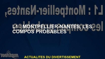 L1: Montpellier-Nantes, les composés probables