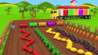 Harvesting Fruits and Vegetables with Tractors Learn Colors for Kids Children _ ZORIP