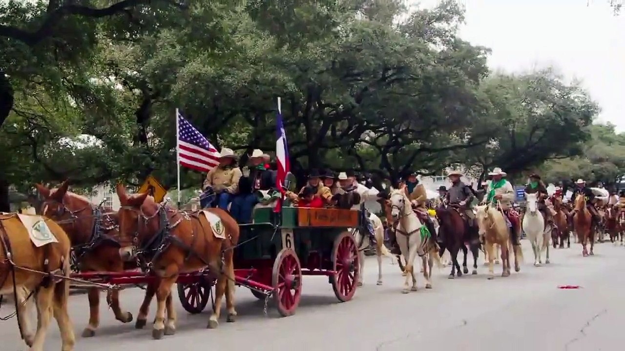 The Vet Life - Se2 - Ep07 - Miracle Puppies HD Watch