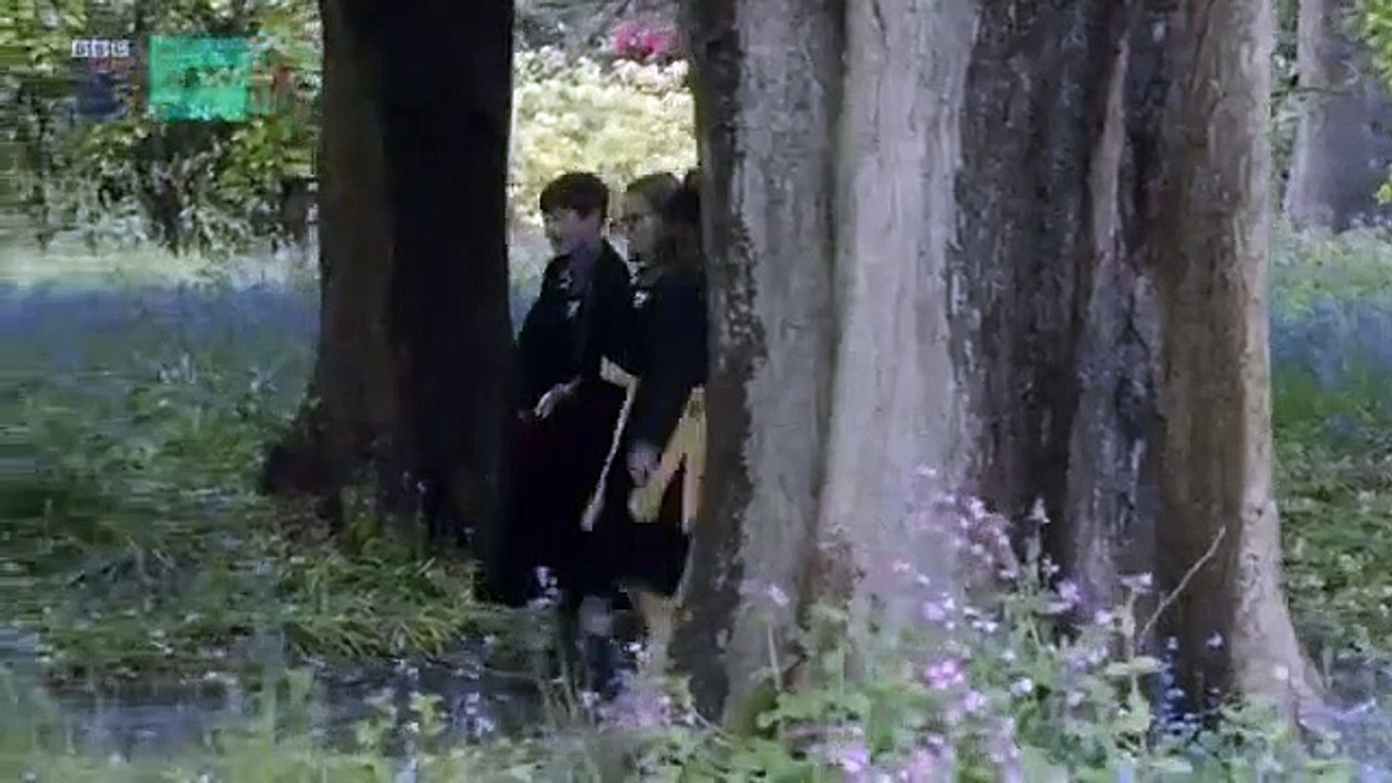 The Worst Witch - Se2 - Ep04 - The Extraordinary Esper Vespertilio HD Watch