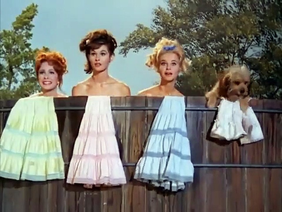 Petticoat Junction - Se3 - Ep20 HD Watch