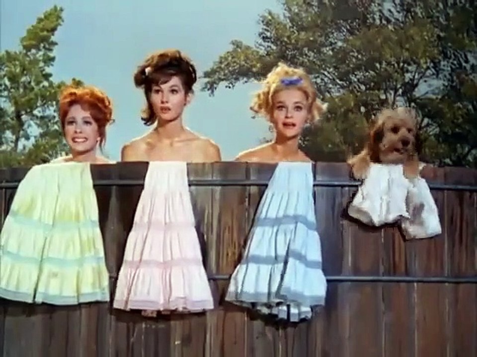 Petticoat Junction - Se3 - Ep22 HD Watch