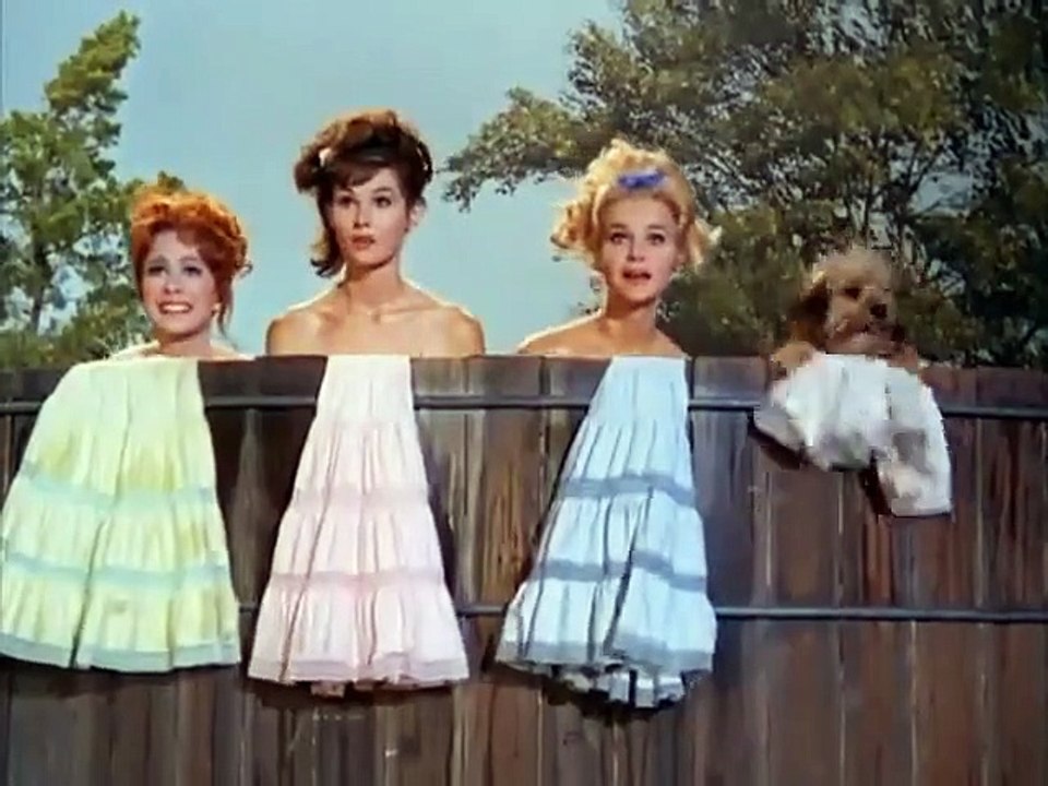 Petticoat Junction - Se3 - Ep29 HD Watch