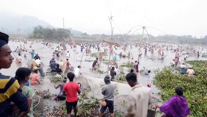 بدون تعليق: الاحتفال بهوجالي بيهو في الهند بمناسبة عيد الحصاد