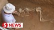 4,000-year-old high-grade cemeteries discovered at Shimao Site in China's Shaanxi