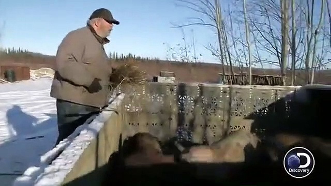 Yukon Men - Se6 - Ep05 - TBD HD Watch