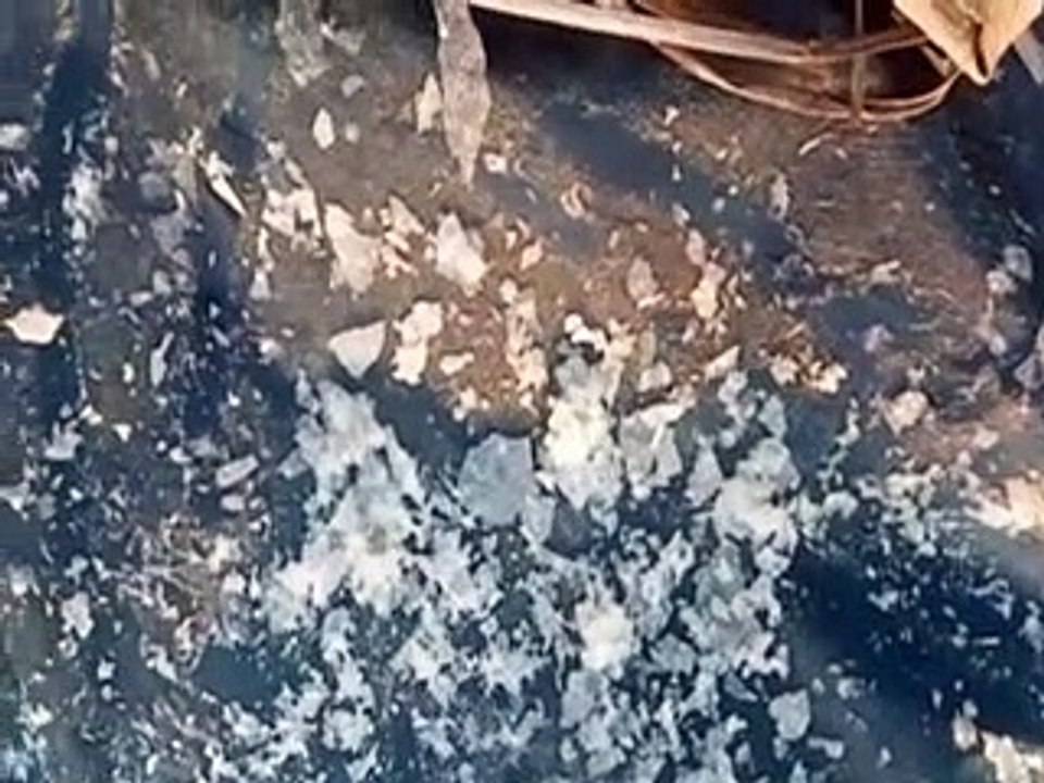video: सर्दी का सितम जारी, खेतों में जम गई बर्फ...