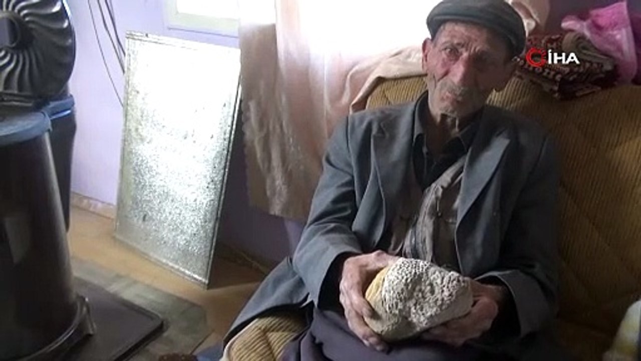 Dağda gezerken milyonlarca yıllık arı peteği fosili buldu