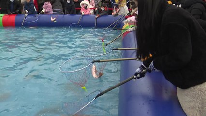 추위도 거뜬...20년 만의 숭어축제 성황 / YTN