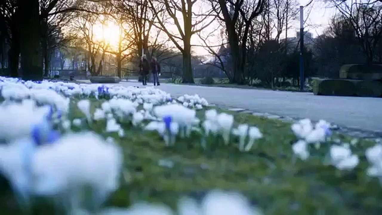 Antboy - revenge of the red fury - ep01 hd watch