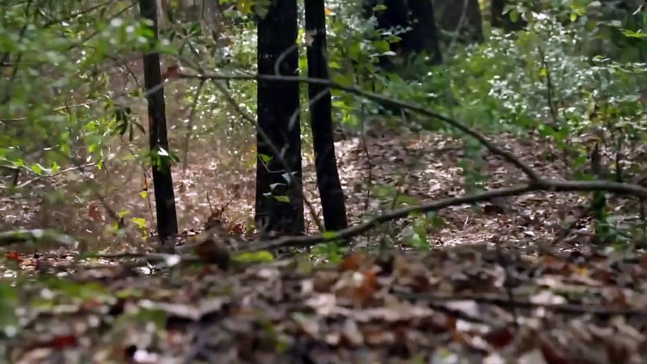 Vice Principals - Se2 - Ep09 - The Union of the Wizard $$ The Warrior HD Watch