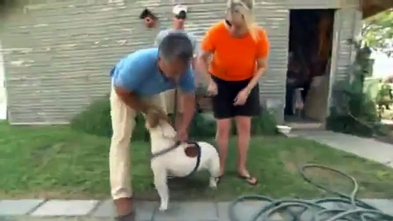 Dog Whisperer with Cesar Millan - Se3 - Ep06 HD Watch