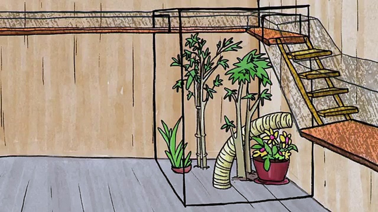 Animal Cribs - Se2 - Ep04 - Cat Build Gone Wild HD Watch