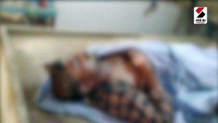 વ્યાજખોરોના ત્રાસથી આત્મહત્યા કર્યાનો આરોપ