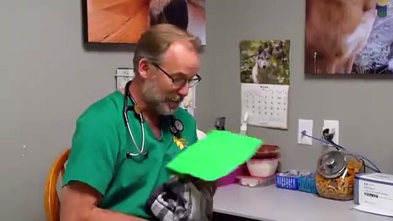 Dr. Jeff - Rocky Mountain Vet - Se6 - Ep08 HD Watch