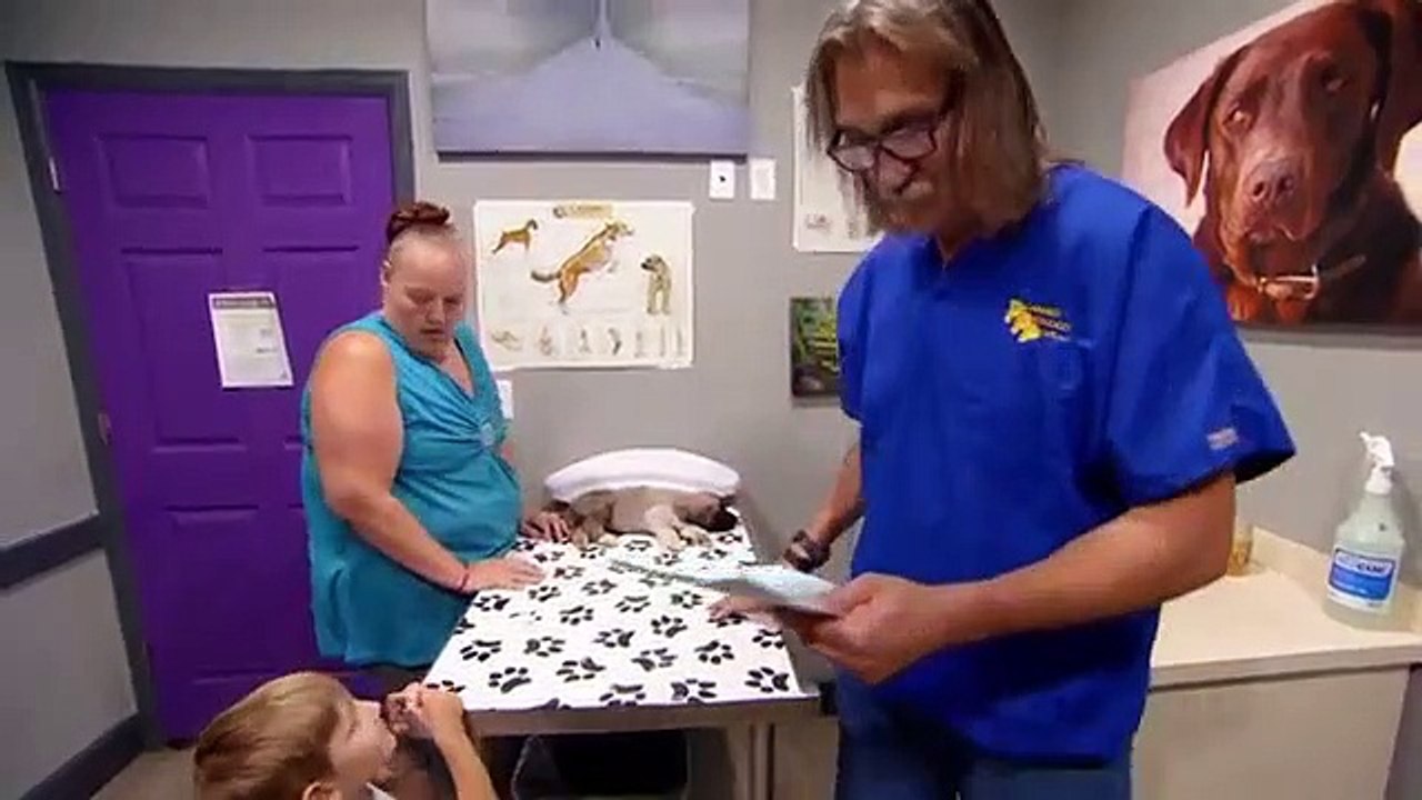 Dr. Jeff - Rocky Mountain Vet - Se6 - Ep13 - Family Reunion HD Watch