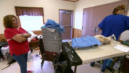 Dr. Jeff - Rocky Mountain Vet - Se7 - Ep04 - Mission in South Dakota HD Watch