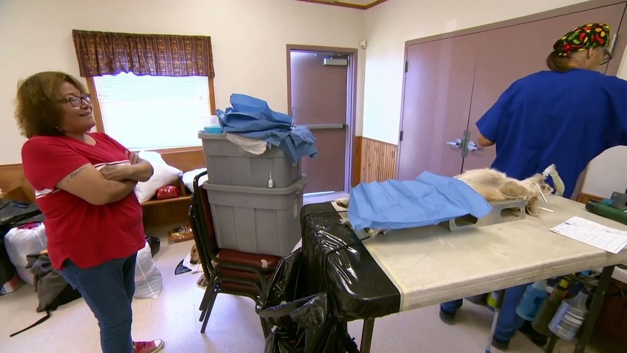 Dr. Jeff - Rocky Mountain Vet - Se7 - Ep04 - Mission in South Dakota HD Watch