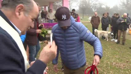 Download Video: Los perros vuelven a la Fundación El Arca de Noé con su nuevas familias por San Antón