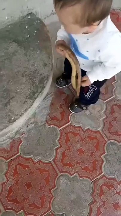 Effrayant : quand ton bébé joue avec des serpents