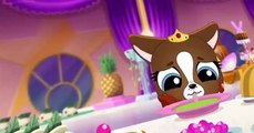 Littlest Pet Shop: A World of Our Own Littlest Pet Shop: A World of Our Own E011 – All Decked Out