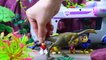 The Pups Confronts Dinosaurs - PAW Patrol - Toy Play for Kids